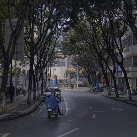 深色系有意境的空境感的背景图 人间枝头各自乘流