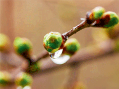 二十四节气雨水的早安说说 2022雨水节气发朋友圈的祝福语