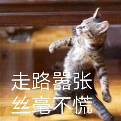 很嚣张猖狂的聊天表情包 很霸气的暴走嚣张表情