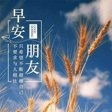 2022最新版早上好图片唯美好看 早安美好的一天从清晨开始