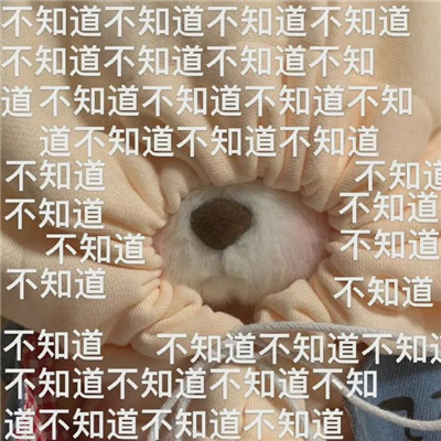 莉娜熊很火的热门表情最新合集 宝贝在干嘛了