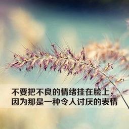 心里放不过自己，是没有智慧；心里放不过别人，是没有慈悲