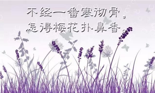 适合发朋友圈的暖心唯美早安祝福语