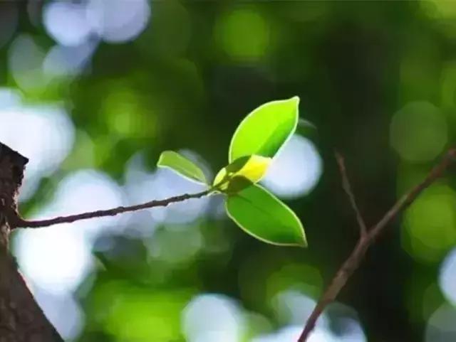 很短很戳心的句子，适合发朋友圈