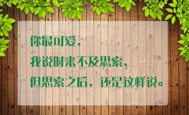 不爱你的人只会有两种状态，不是在忙，就是忘了，句句深入人心