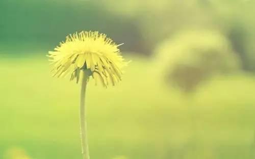 说说短语：随便的意思就是，我懒得想，但你必须想出我满意的答案