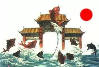 活鱼逆流而上，死~随波逐流