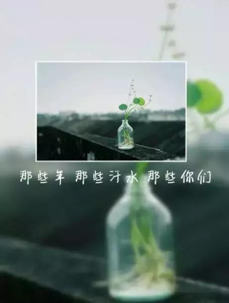 毕淑敏：你眼中的友情是什么样子？