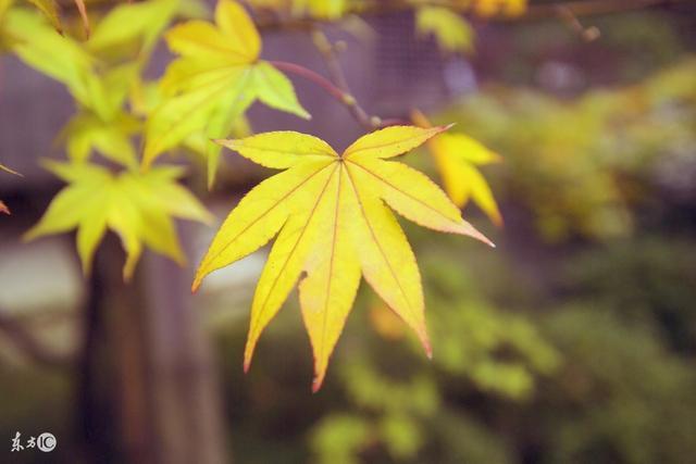 人情薄如纸，人心浑如泥（精辟）