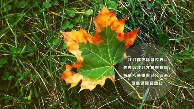 晚安唯美心情句子发朋友圈，句句戳心