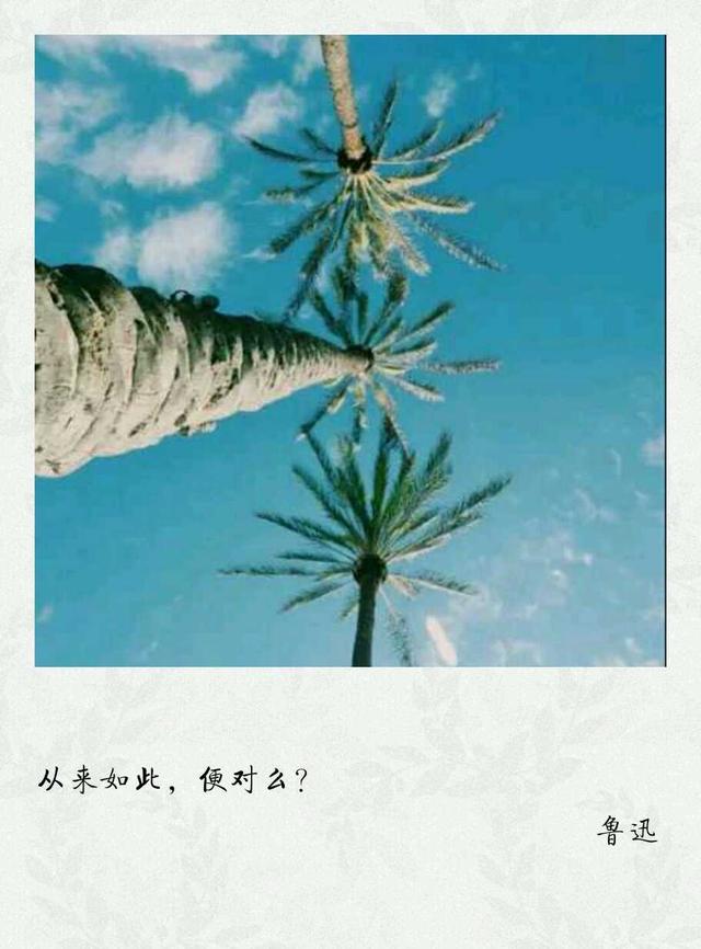 鲁迅这些语录，你看懂了吗？