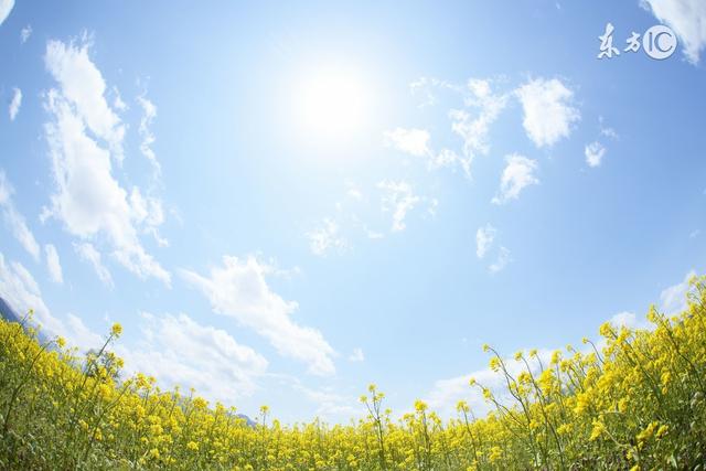 山重水复疑无路，柳暗花明又一村