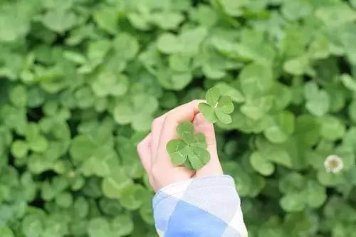 我收藏已久的励志心情短语