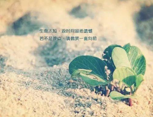 痕若无缘伤梦堤，但看醉离写魂征