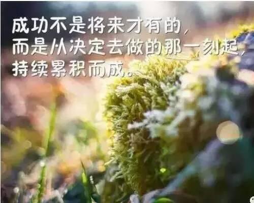 积极向上的心态，是成功者的最基本要素