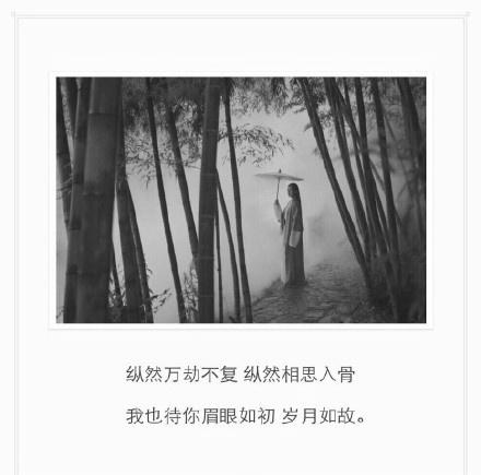 我在等，等你回头，或等我死心