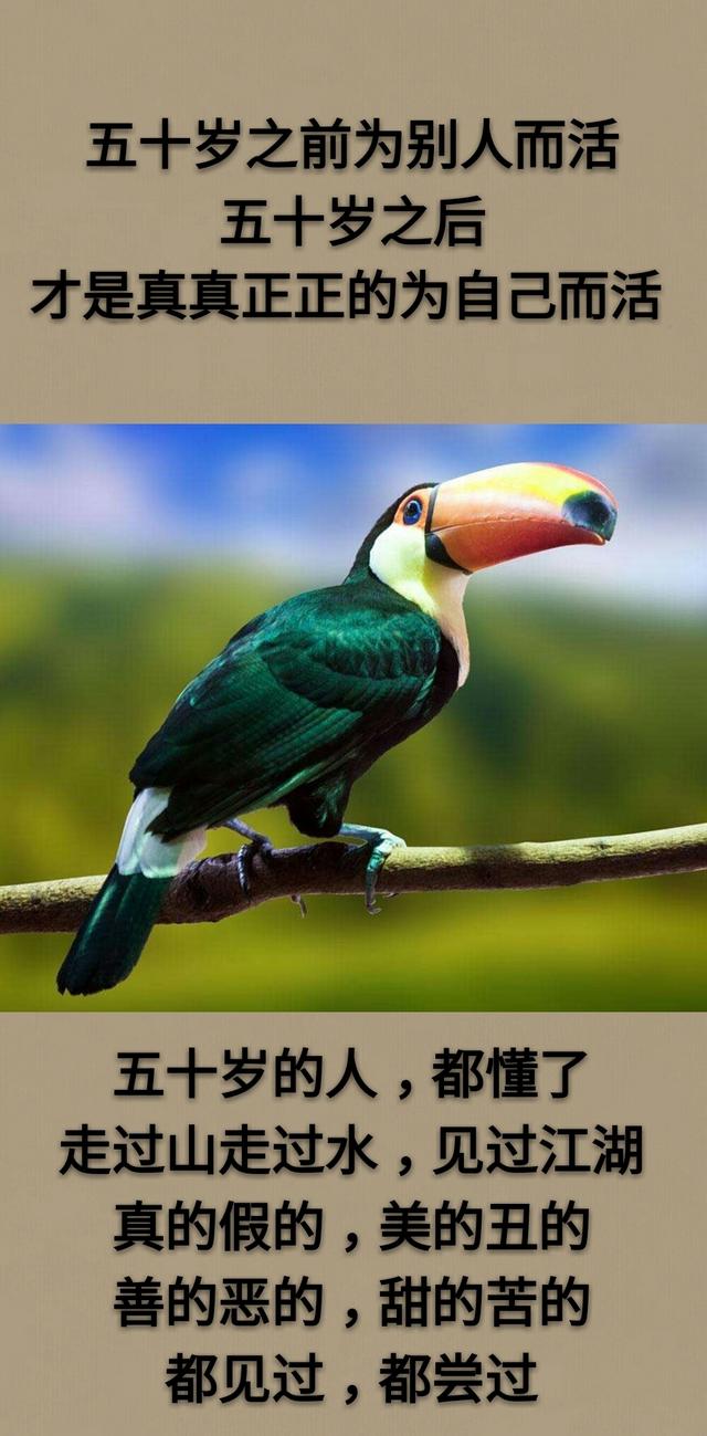 人生五十：既是人生的巅峰，又是人生新的开始