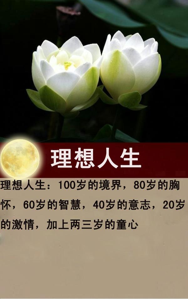 人生：100岁的境界，80岁的胸怀，60岁的智慧