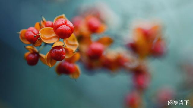 不要等爬到了梯子的顶端，才发现梯子架错了墙