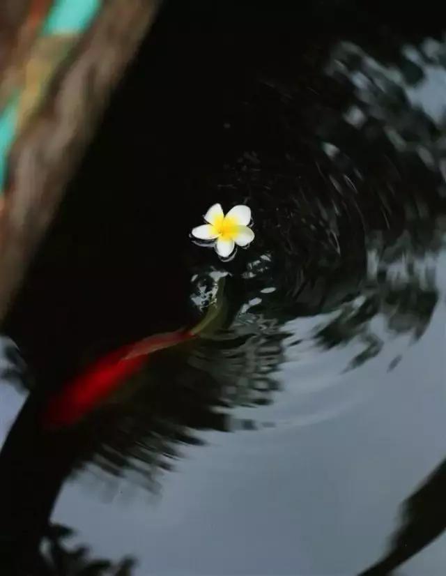 一回眸，已是经年；一转身，便是天涯