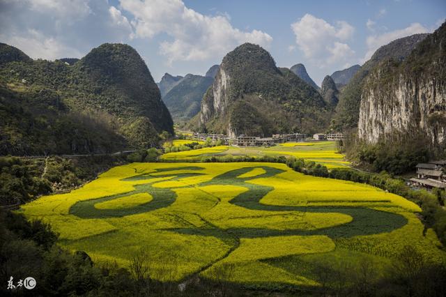 不经寒彻骨，怎得暗香来