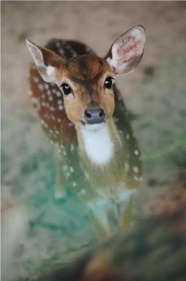 你可以迷茫，但不要虚度