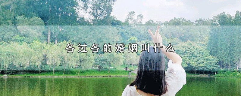 各过各的婚姻叫什么