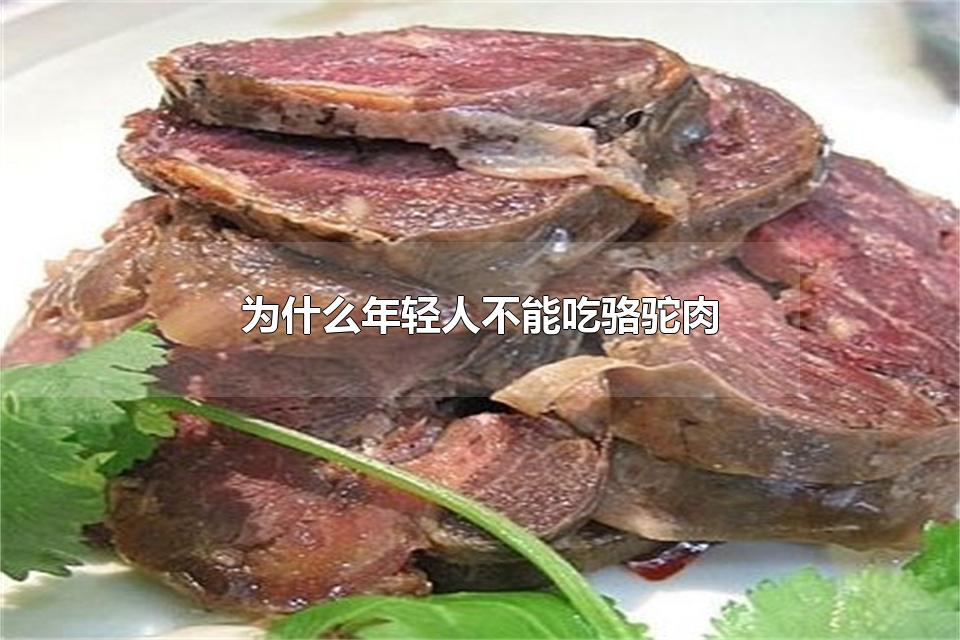 为什么年轻人不能吃骆驼肉 骆驼肉能吃吗