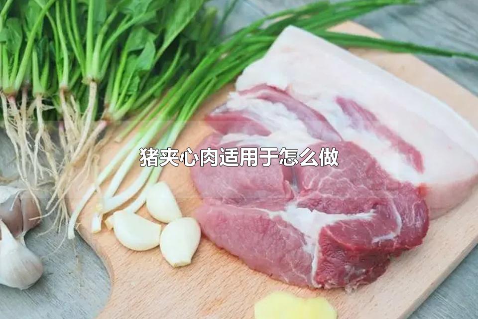 猪夹心肉适用于怎么做 猪夹心肉是什么肉