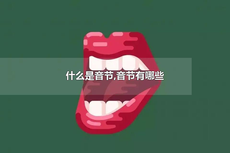 什么是音节，音节有哪些 音节由什么构成