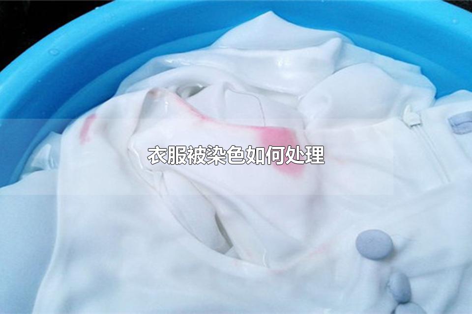 衣服被染色如何处理 白衣服染色了怎么洗