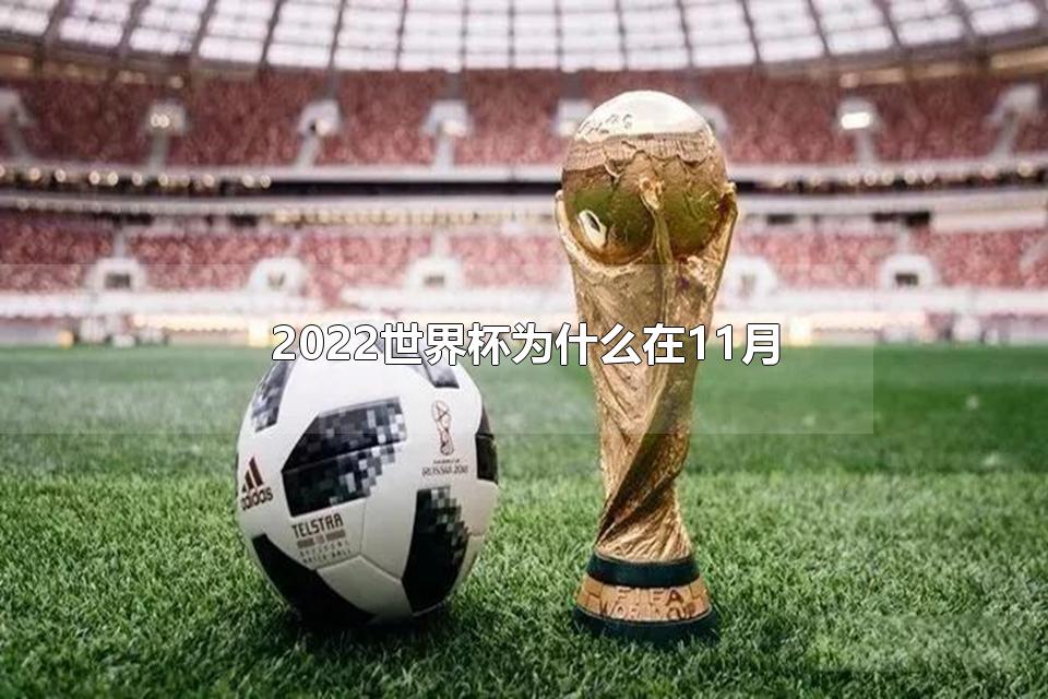 2022世界杯为什么在11月 2022年世界杯一共有多少只队伍参加