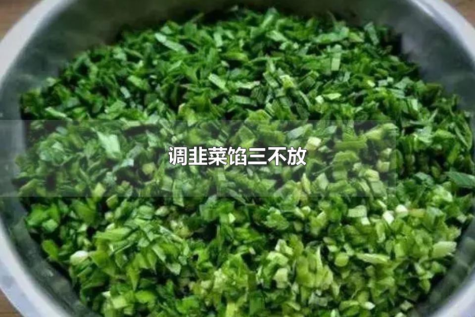 调韭菜馅三不放 韭菜馅饺子放葱姜蒜吗