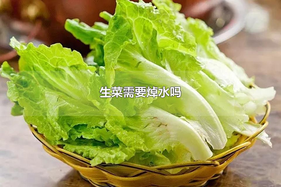 生菜需要焯水吗 生菜可以怎么吃