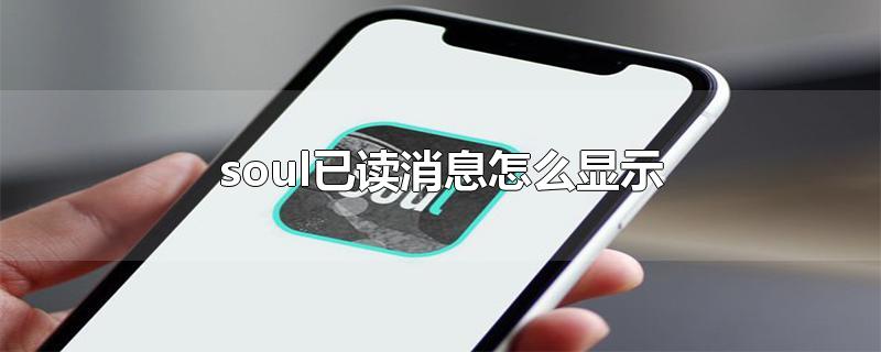 soul已读消息怎么显示