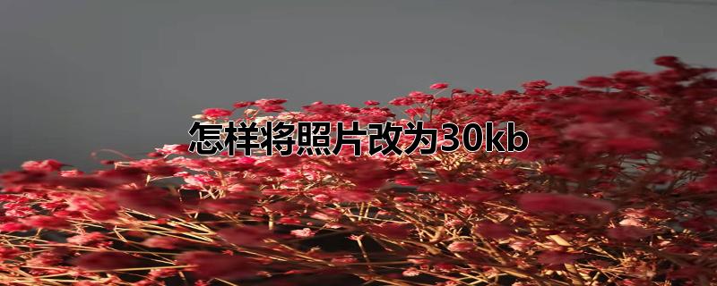 怎样将照片改为30kb