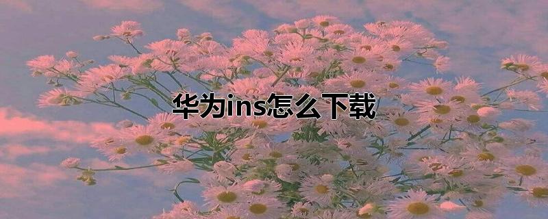 华为ins怎么下载