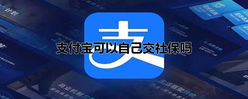 支付宝可以自己交社保吗