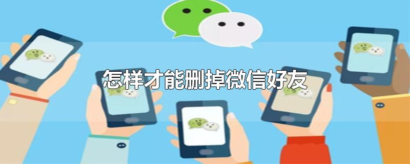 怎样才能删掉微信好友