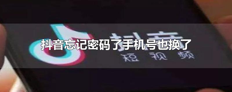 抖音忘记密码了手机号也换了怎么办