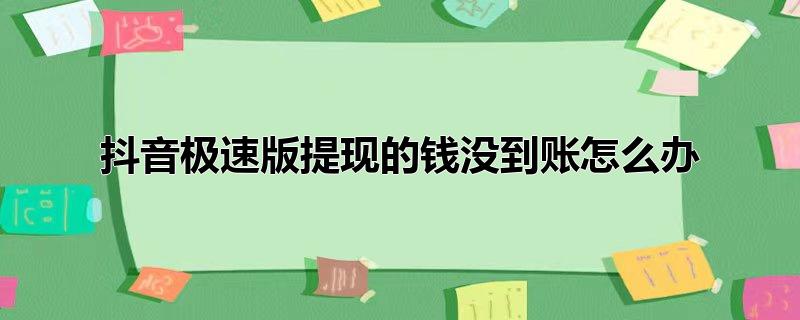 抖音极速版提现的钱没到账怎么办