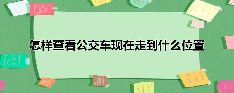 怎样查看公交车现在走到什么位置