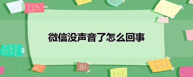 微信没声音了怎么回事