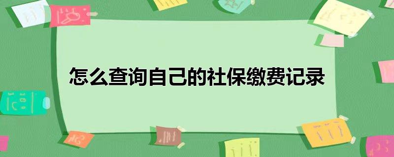 怎么查询自己的社保缴费记录