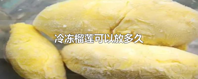 冷冻榴莲可以放多久