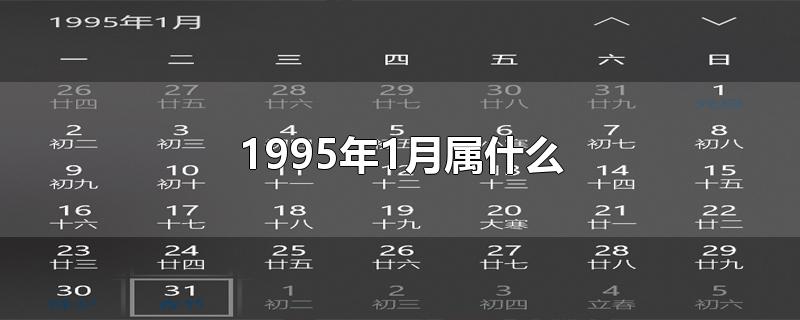 1995年1月属什么