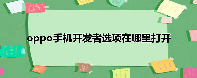 oppo手机开发者选项在哪里打开