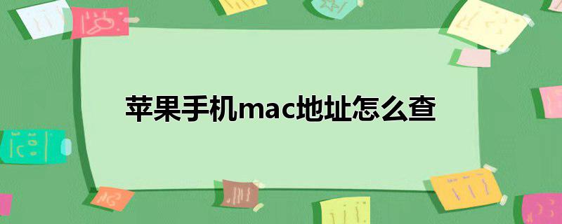 苹果手机mac地址怎么查