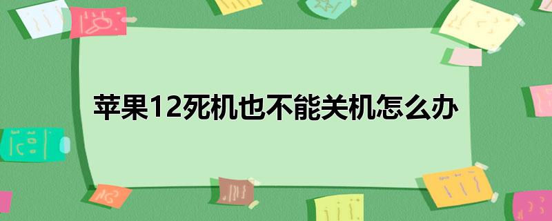 苹果12死机也不能关机怎么办