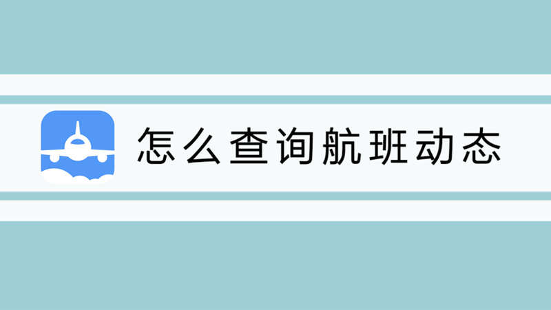 怎么查询航班动态